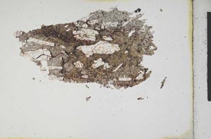 Plane Polarized, S10594