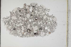 Plane Polarized, S10595