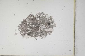 Plane Polarized, S10596