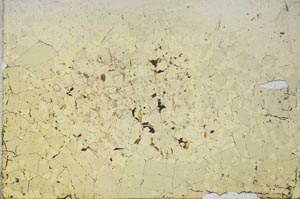Plane Polarized, S10599