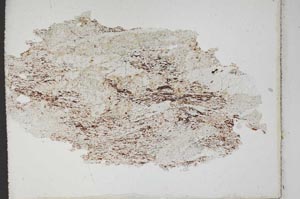 Plane Polarized, S10611