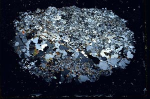 Cross Polarized, S10613