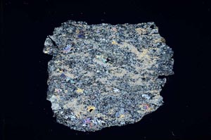 Cross Polarized, S10614