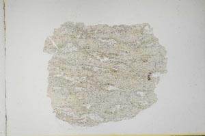 Plane Polarized, S10614