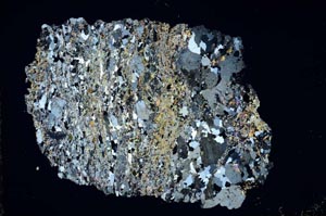 Cross Polarized, S10615