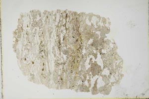 Plane Polarized, S10615