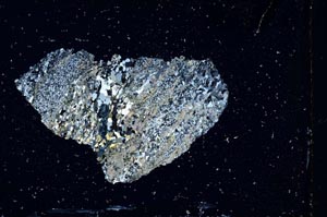 Cross Polarized, S10617