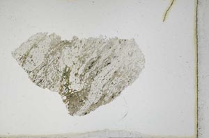 Plane Polarized, S10617