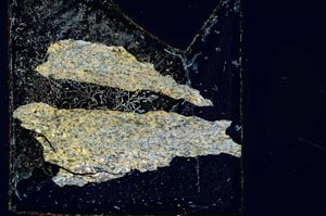 Cross Polarized, S10618