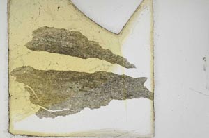 Plane Polarized, S10618