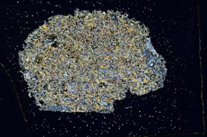 Cross Polarized, S10620