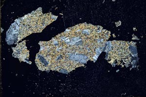 Cross Polarized, S10621