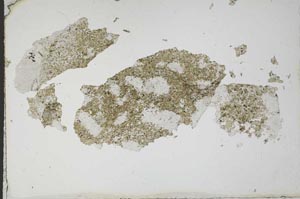 Plane Polarized, S10621