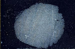 Cross Polarized, S10622