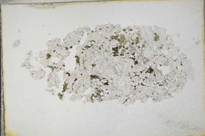 Plane Polarized, S10623