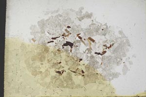 Plane Polarized, S10625