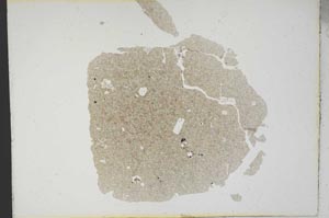 Plane Polarized, S10632/a