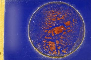 Cross Polarized, S10643