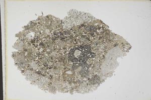 Plane Polarized, S10647