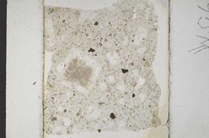 Plane Polarized, S10655