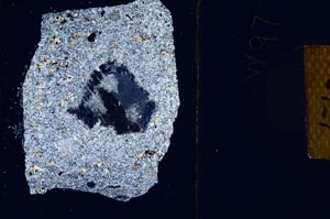 Cross Polarized, S10656