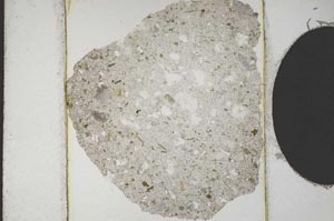 Plane Polarized, S10658