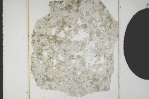 Plane Polarized, S10666