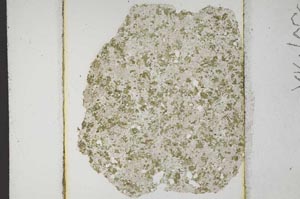Plane Polarized, S10668