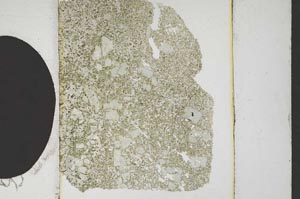 Plane Polarized, S10669