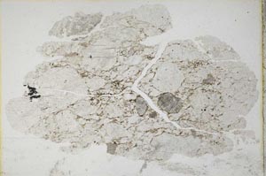 Plane Polarized, S10678