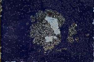 Cross Polarized, S10679