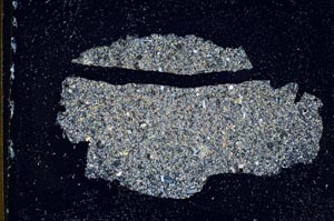 Cross Polarized, S10680