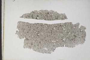 Plane Polarized, S10680