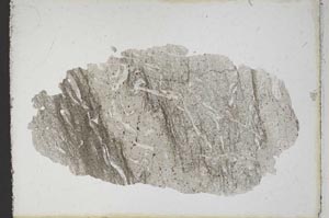 Plane Polarized, S10682