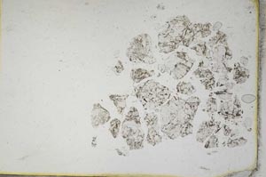 Plane Polarized, S10713