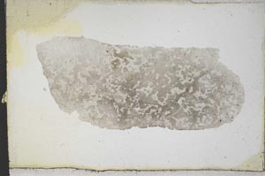 Plane Polarized, S10736