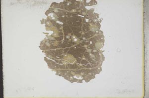 Plane Polarized, S10738