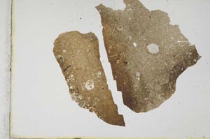 Plane Polarized, S10741
