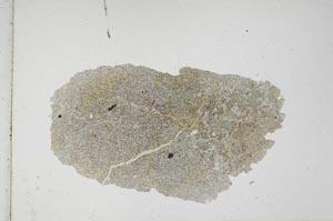Plane Polarized, S10745