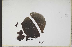 Plane Polarized, S10748
