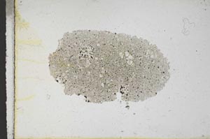 Plane Polarized, S10754