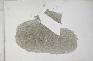 Plane Polarized, S10757