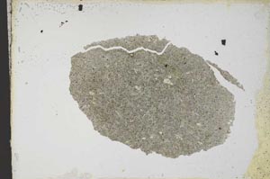 Plane Polarized, S10761