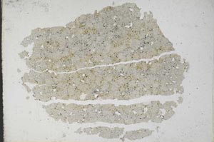 Plane Polarized, S10762