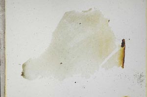 Plane Polarized, S10776