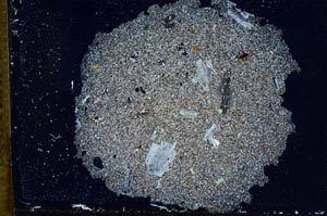 Cross Polarized, S10780