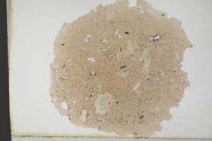 Plane Polarized, S10780