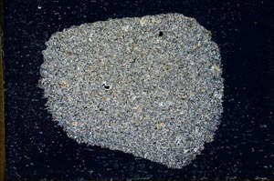 Cross Polarized, S10781