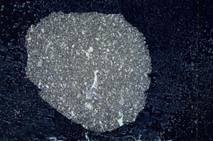 Cross Polarized, S10784