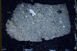 Cross Polarized, S10785